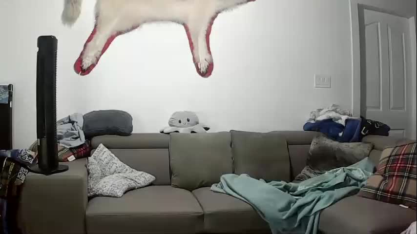 lolalixx6969 Cam Model Chat October 9, 2025