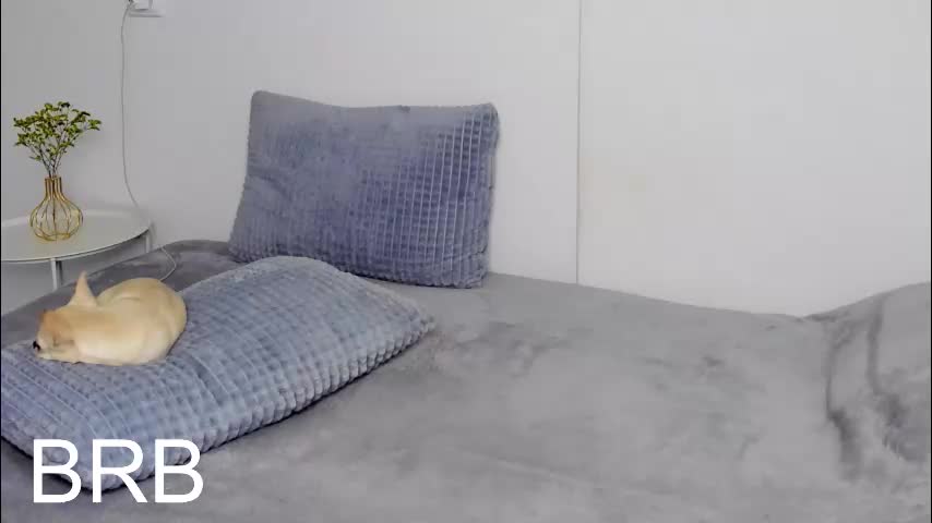 selenarousey Cam Model Chat October 9, 2025