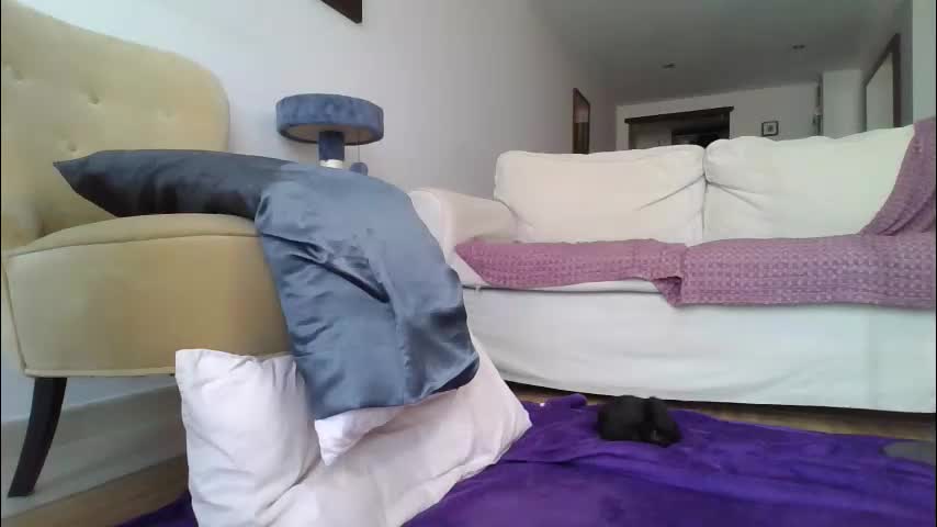 palaustudio Cam Model Chat October 9, 2025