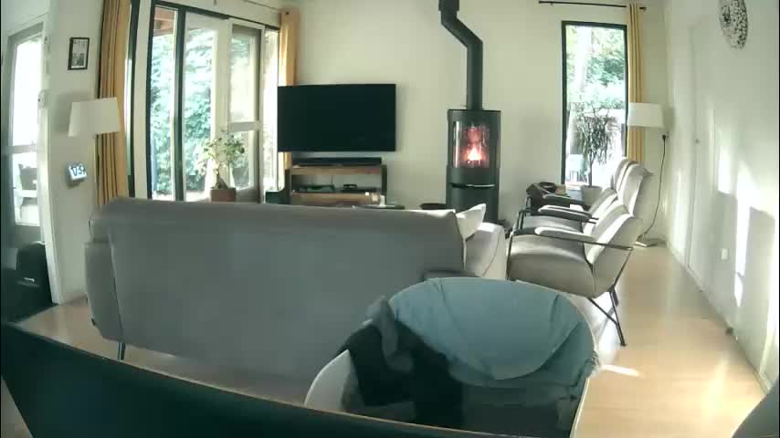 woodwurm Cam Model Chat October 10, 2025