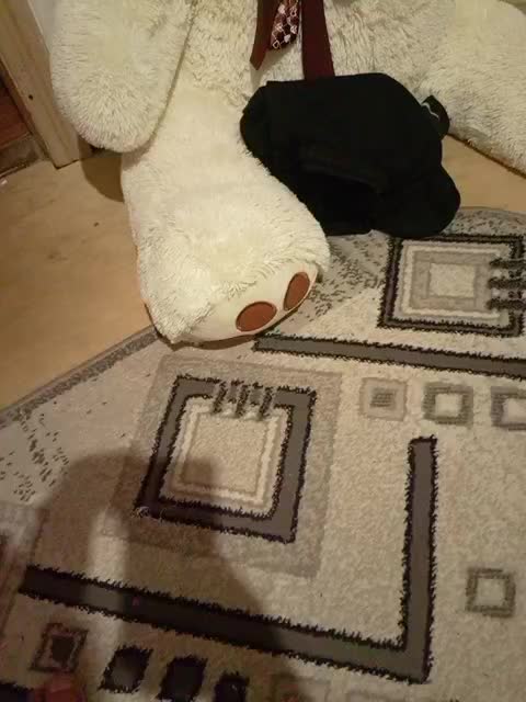 Schastlivchik10 Cam Model Chat October 10, 2025