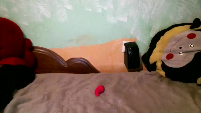 dennisxcarol Cam Model Chat October 10, 2025