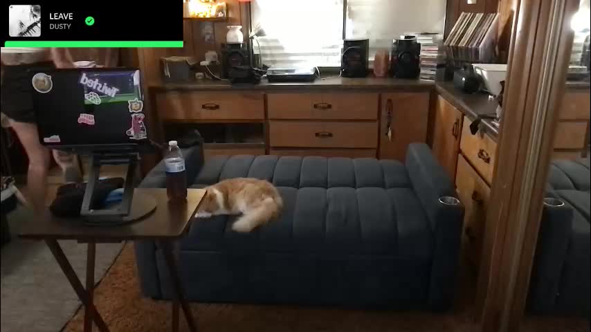 incognitoqueen Cam Model Chat October 10, 2025