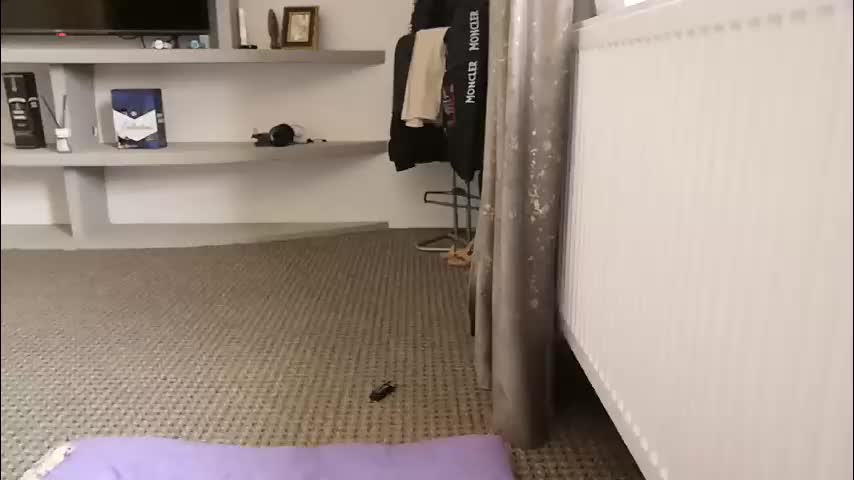 crazybrenda89 Cam Model Chat October 10, 2025