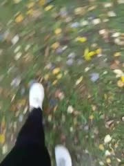 EVIL_TITS Cam Model Chat October 10, 2025