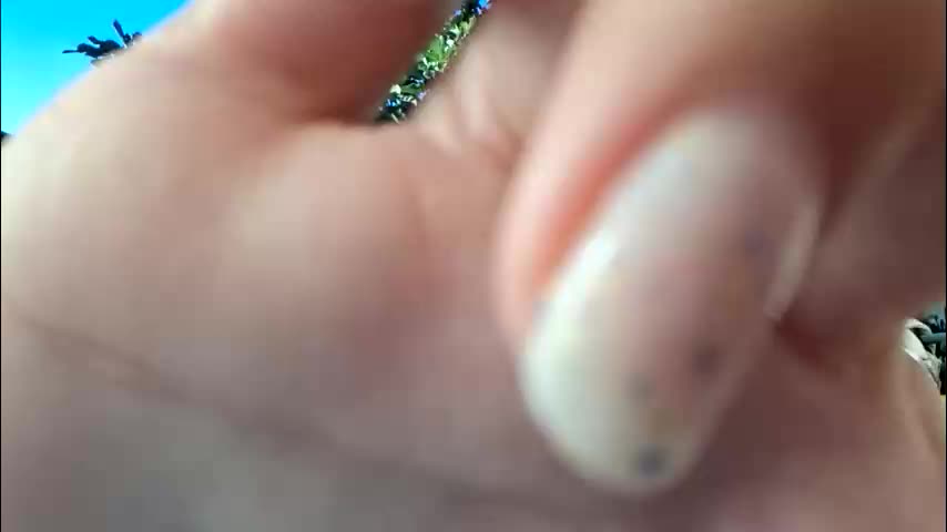 sexy07sexy Cam Model Chat October 10, 2025