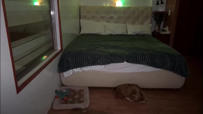 mia_floo Cam Model Chat October 11, 2025