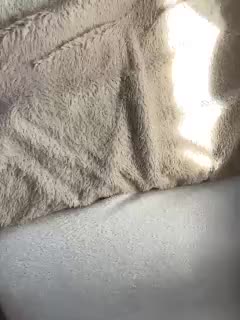 OhHoney Cam Model Chat October 11, 2025