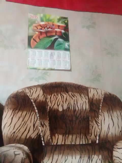 Calibriya Cam Model Chat October 11, 2025