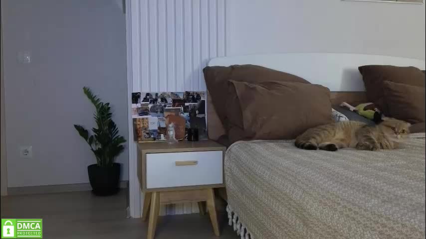 evi_woow Cam Model Chat October 11, 2025