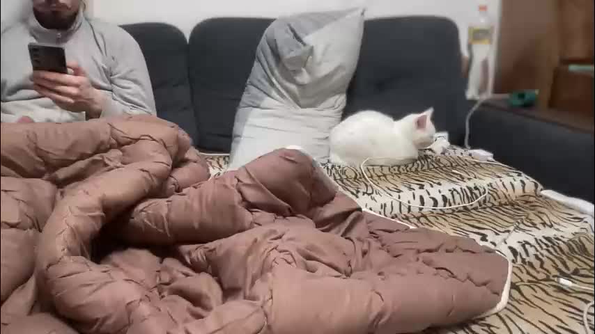 rosea_champagne Cam Model Chat October 11, 2025