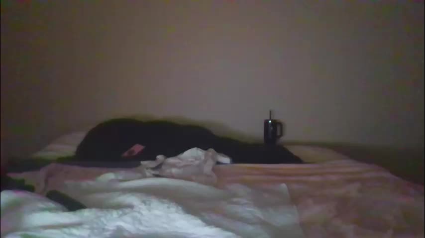 sdbeachfreaks Cam Model Chat October 11, 2025