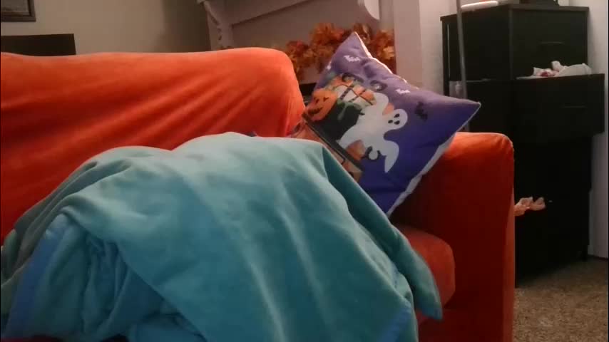 mastersquirter98 Cam Model Chat October 11, 2025