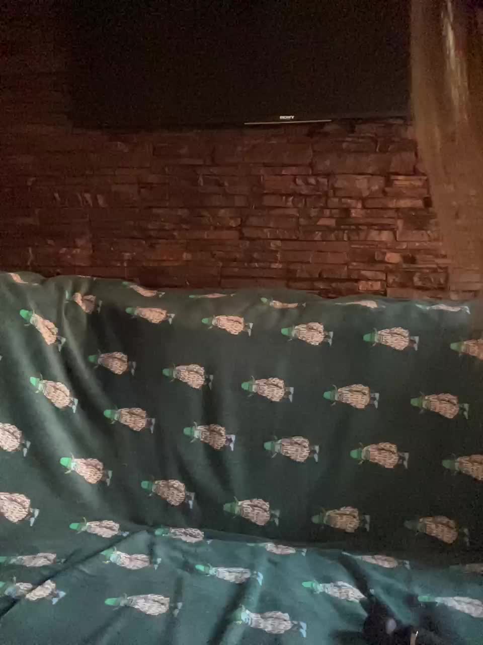 Panther_0888 Cam Model Chat October 11, 2025