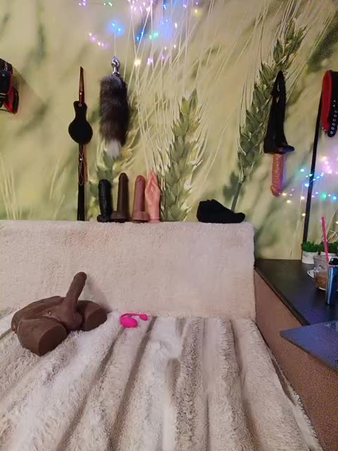 DianaAhTender Cam Model Chat October 11, 2025