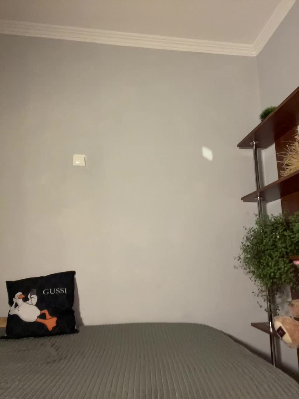 Saliss1 Cam Model Chat October 11, 2025