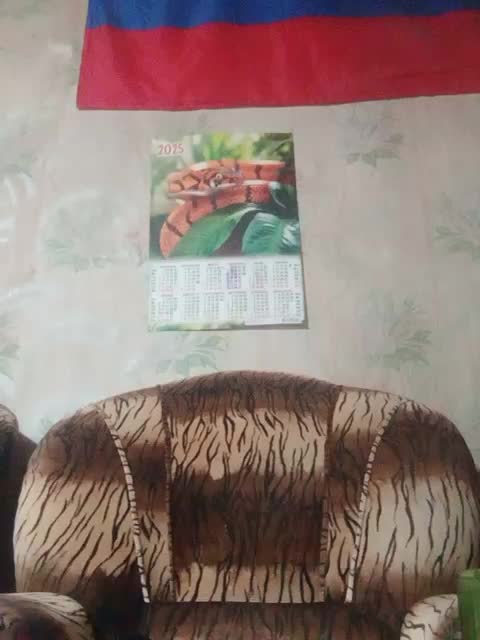 Calibriya Cam Model Chat October 12, 2025