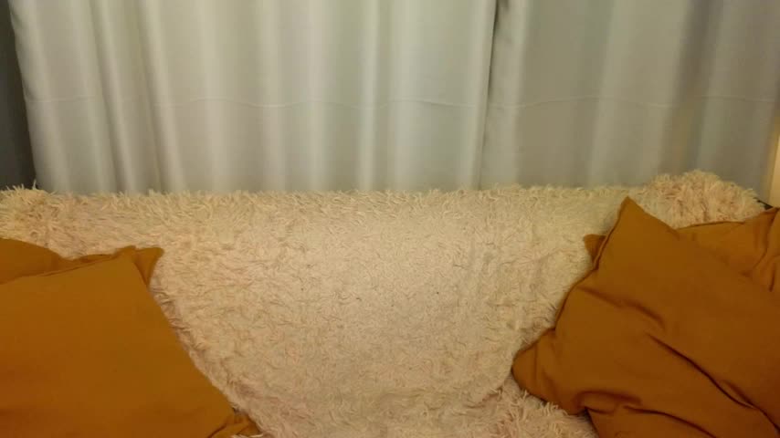 lika_haris Cam Model Chat October 12, 2025