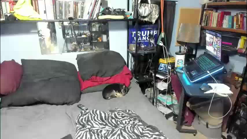 pink_black Cam Model Chat October 12, 2025