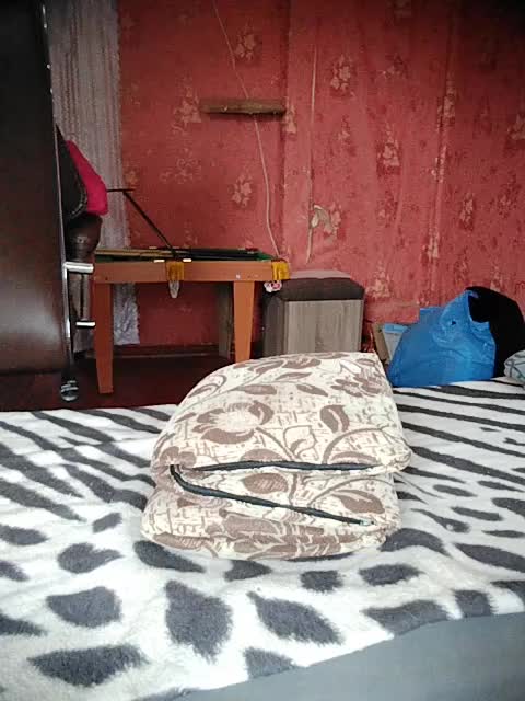 884_Sensuality_885 Cam Model Chat October 12, 2025