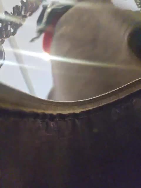 EditaMilf Cam Model Chat October 12, 2025