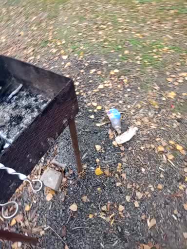 Artem29aAlisa29 Cam Model Chat October 12, 2025