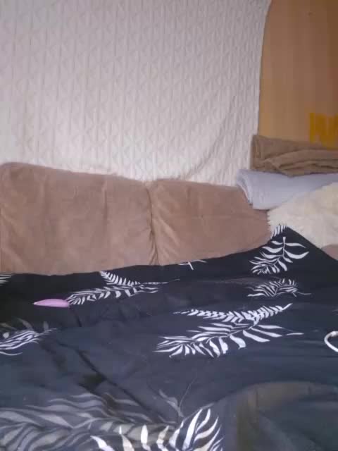 BielkA-4 Cam Model Chat October 12, 2025