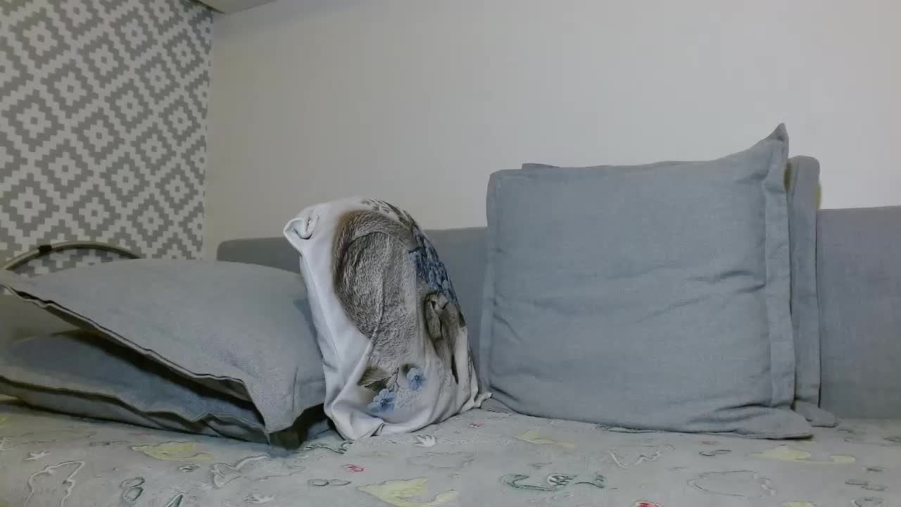 albinochka888 Cam Model Chat October 13, 2025