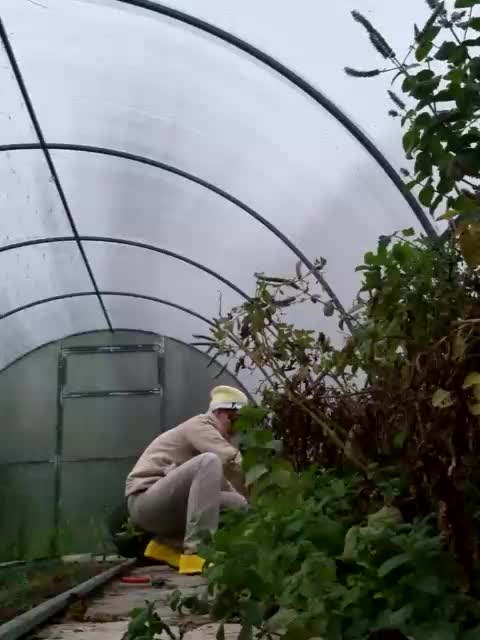 KOMCOMOLKA Cam Model Chat October 13, 2025