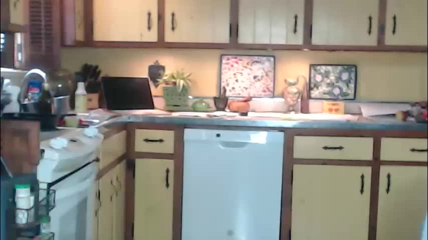 catalystic Cam Model Chat October 13, 2025