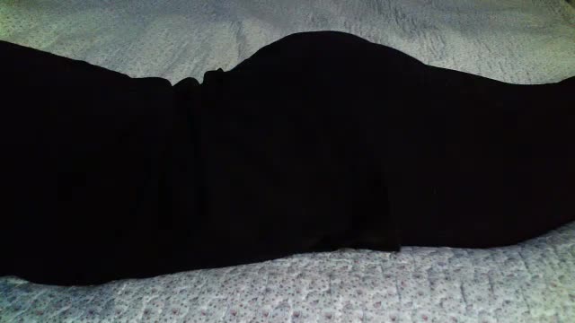 -magicrose- Cam Model Chat October 13, 2025