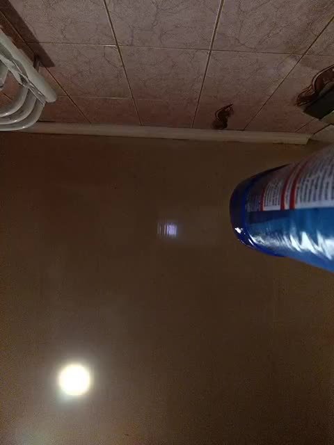 Maluska-Lapyla Cam Model Chat October 13, 2025