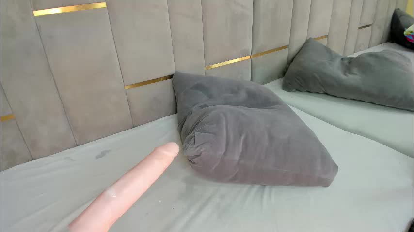 evalims Cam Model Chat October 13, 2025