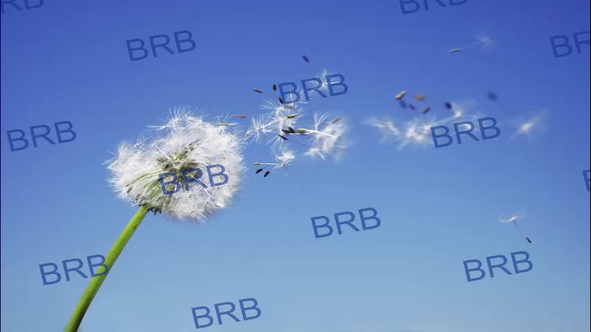 lara_fisher Cam Model Chat October 13, 2025