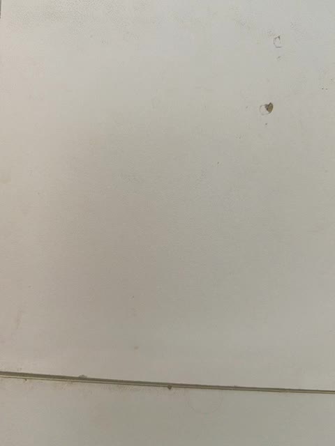 Laskikakvskaz Cam Model Chat October 13, 2025