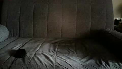 Arsinoe Cam Model Chat October 13, 2025