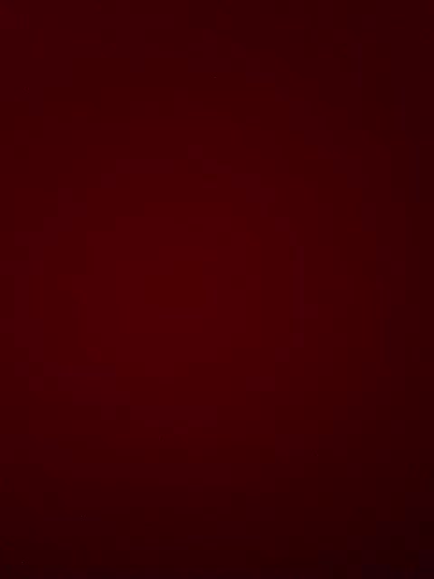 MokrayaSuchka Cam Model Chat October 13, 2025