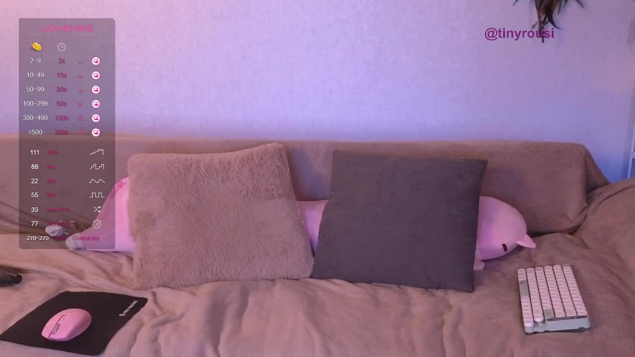 tiny_rousi Cam Model Chat October 13, 2025