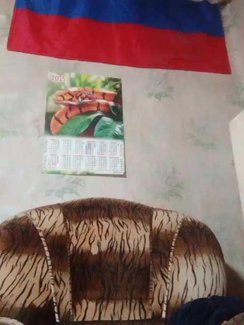 Calibriya Cam Model Chat October 14, 2025