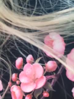 Blondi_Love Cam Model Chat October 14, 2025