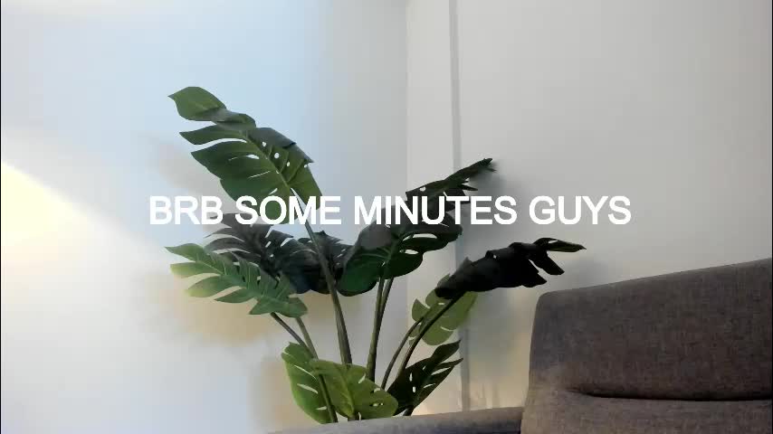 ashllovee_ Cam Model Chat October 14, 2025