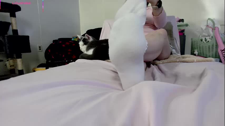 jjjust4fun1985 Cam Model Chat October 14, 2025