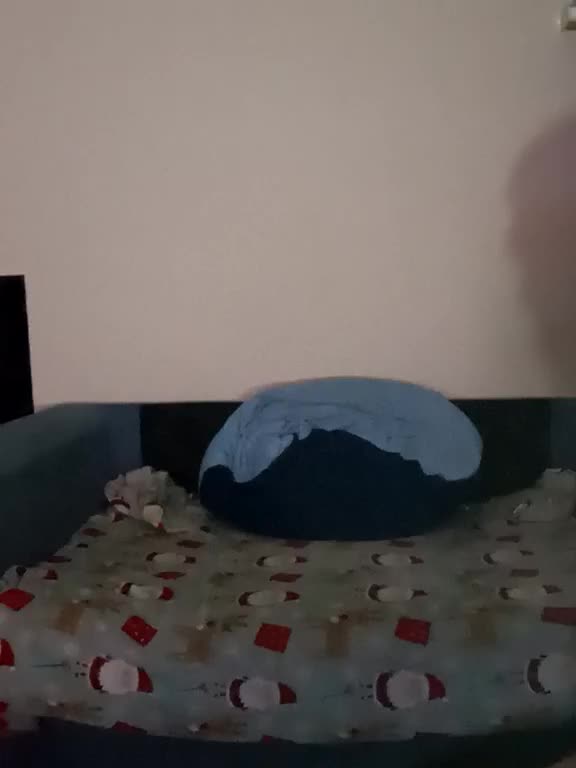 DimaSexIva Cam Model Chat October 14, 2025