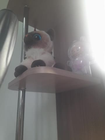 AlisaWyn Cam Model Chat October 14, 2025