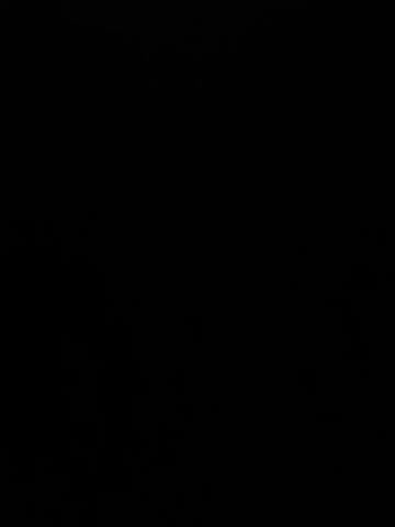 MiraReach Cam Model Chat October 14, 2025