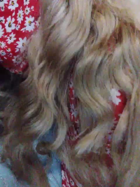 TPAXATb-B-MENU Cam Model Chat October 14, 2025