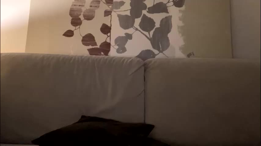 saymym Cam Model Chat October 14, 2025