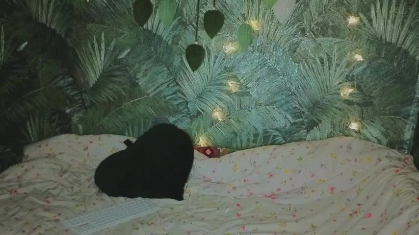 EthernalOphelia Cam Model Chat October 14, 2025