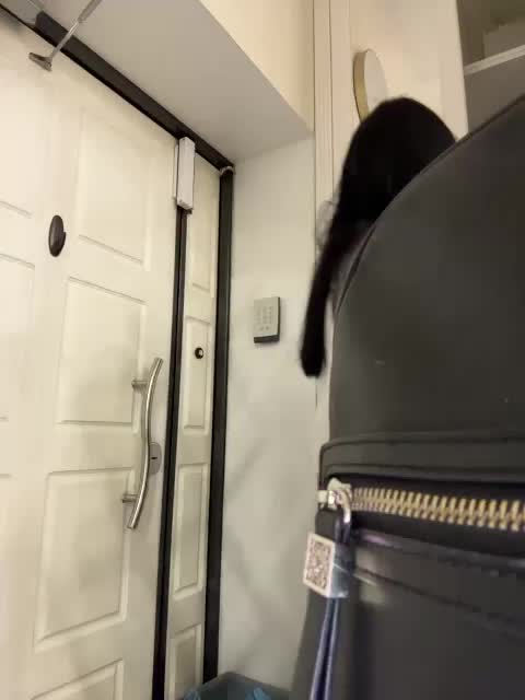 KROSHKA_N Cam Model Chat October 14, 2025