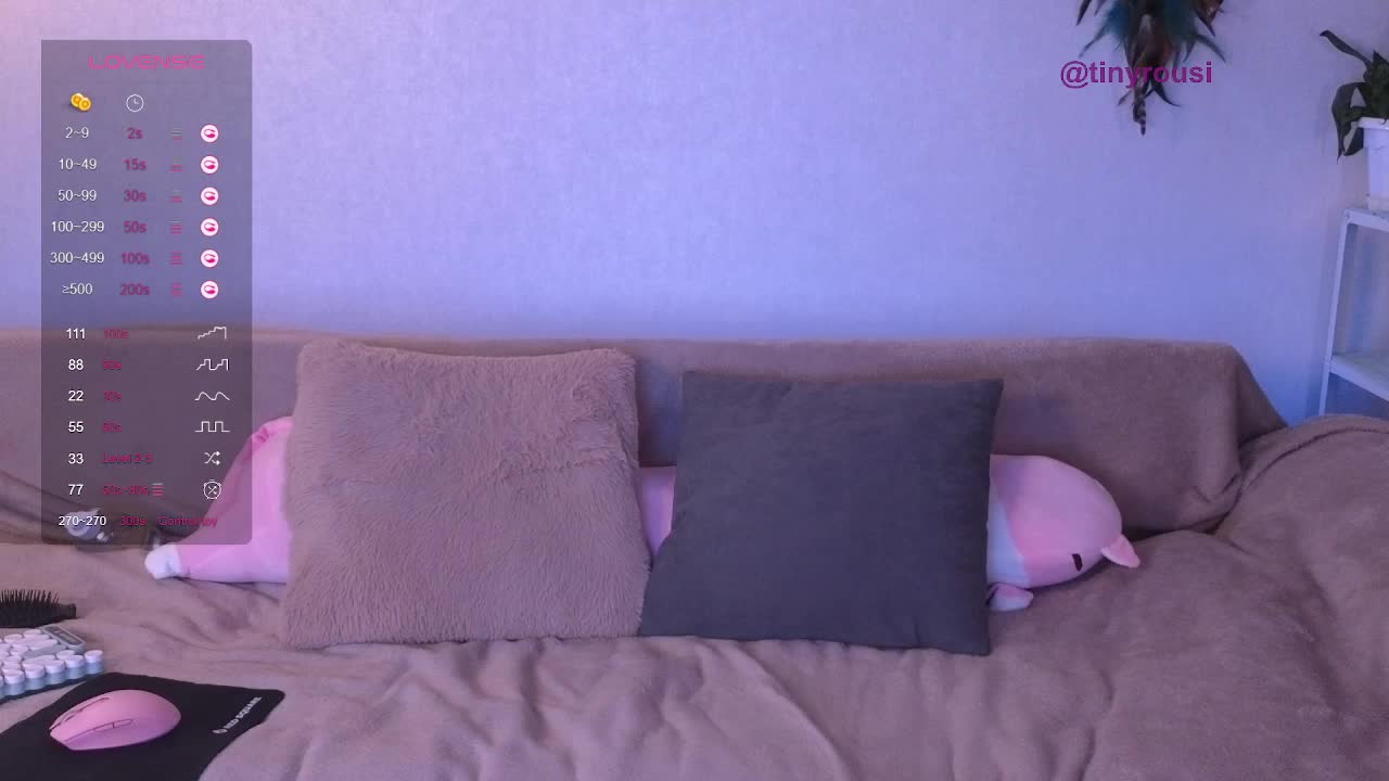 tiny_rousi Cam Model Chat October 14, 2025